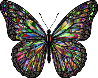 Butterfly Insect Animal Stickdatei