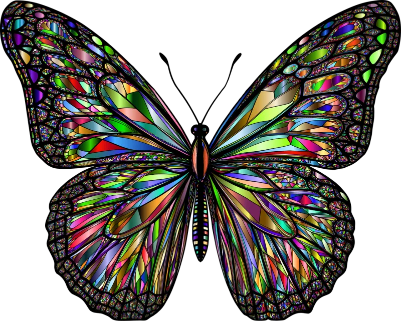 Butterfly Insect Animal Stickdatei – Tiere