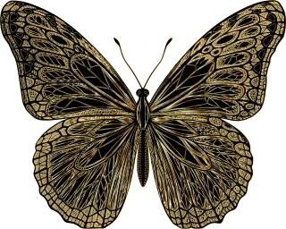 Butterfly Insect Animal Stickdatei