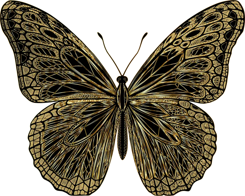 Butterfly Insect Animal Stickdatei – Tiere