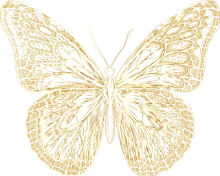Butterfly Nature Insect Stickdatei – Tiere