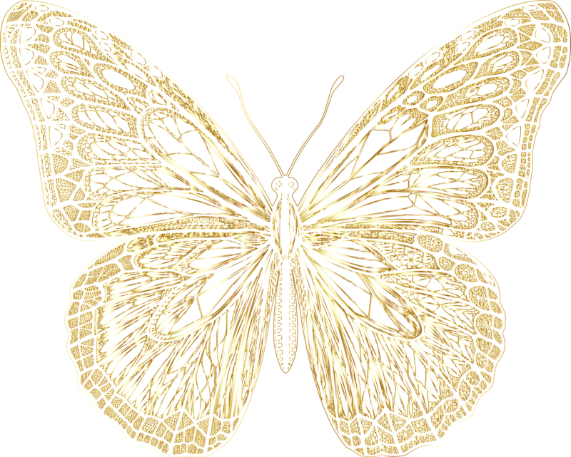 Butterfly Nature Insect Stickdatei – Tiere