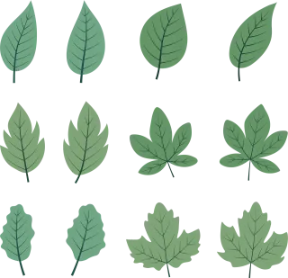 Leaves Nature Forest Stickdatei