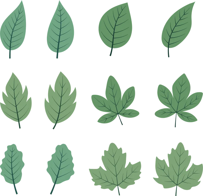 Leaves Nature Forest Stickdatei – Natur