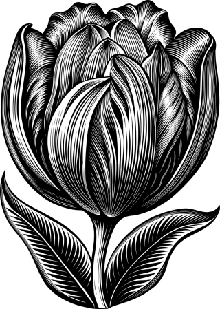Ai generated Tulip Flower Stickdatei