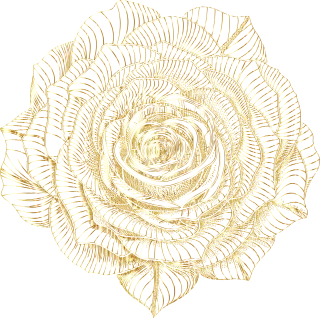Rose Flower Plant Stickdatei