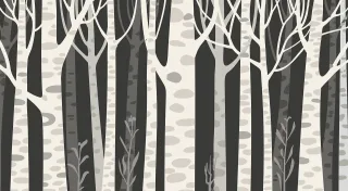 Trees Wood Night Stickdatei