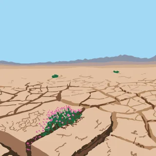 Desert Drought Africa Stickdatei