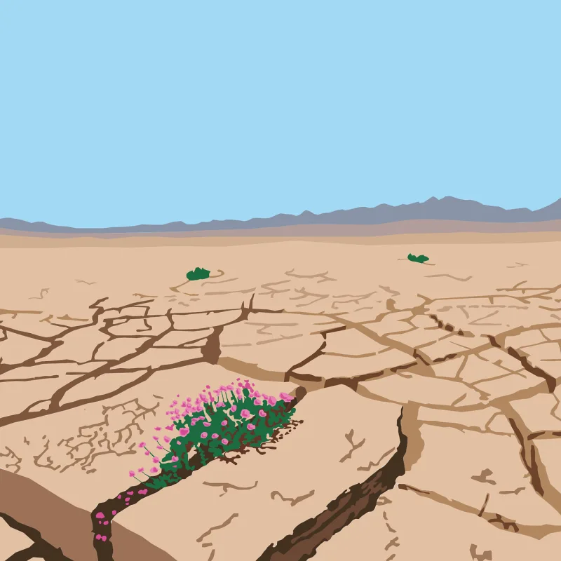 Desert Drought Africa Stickdatei – Natur