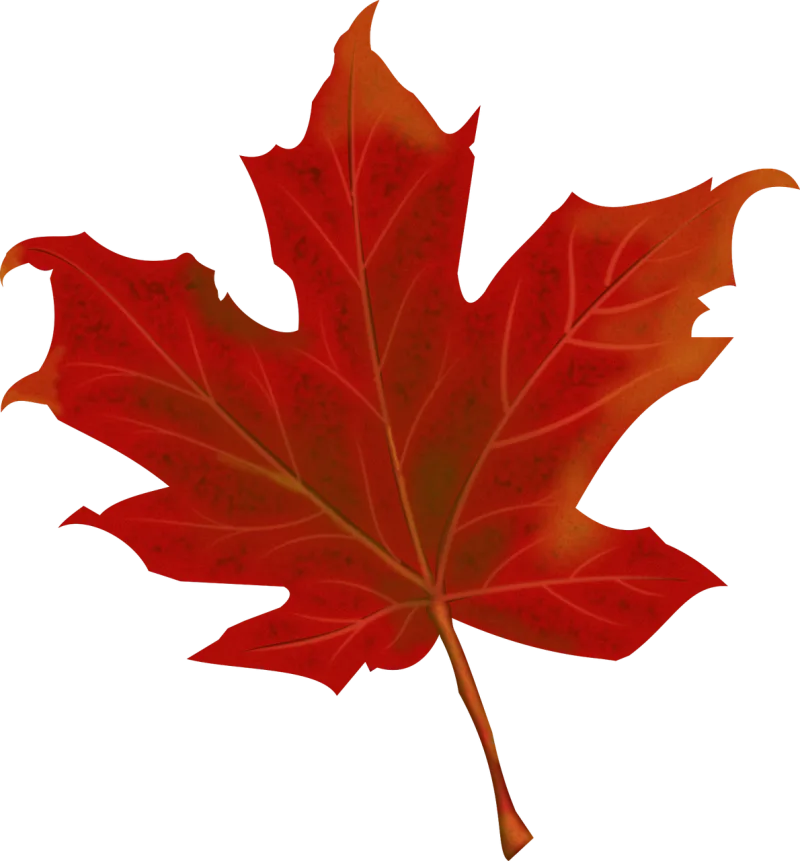 Leaf Autumn Autumn leaves Stickdatei – Natur