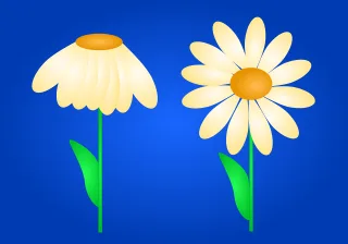 Copy space Daisy Withered Stickdatei – Blumen