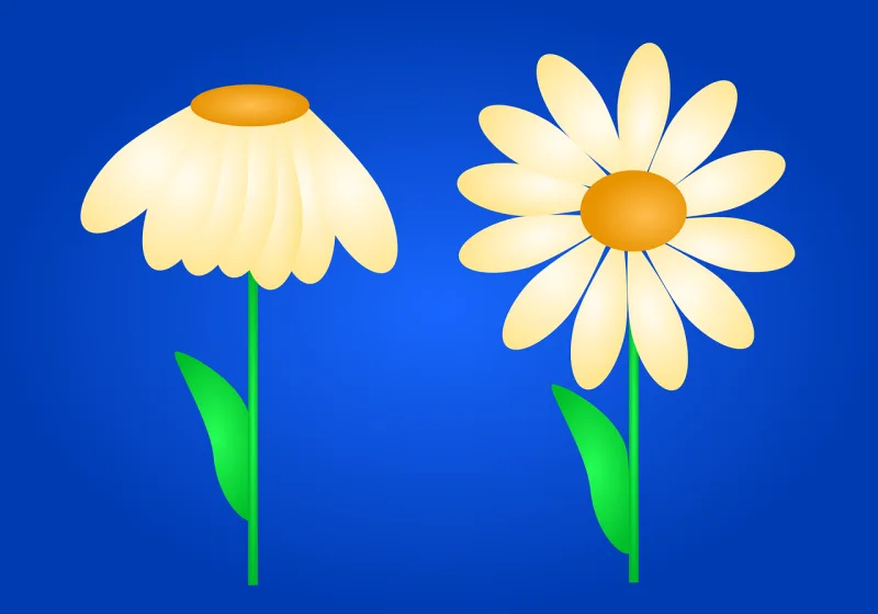 Copy space Daisy Withered Stickdatei – Blumen