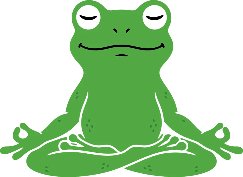 Frog Meditation Yoga Stickdatei – Blumen