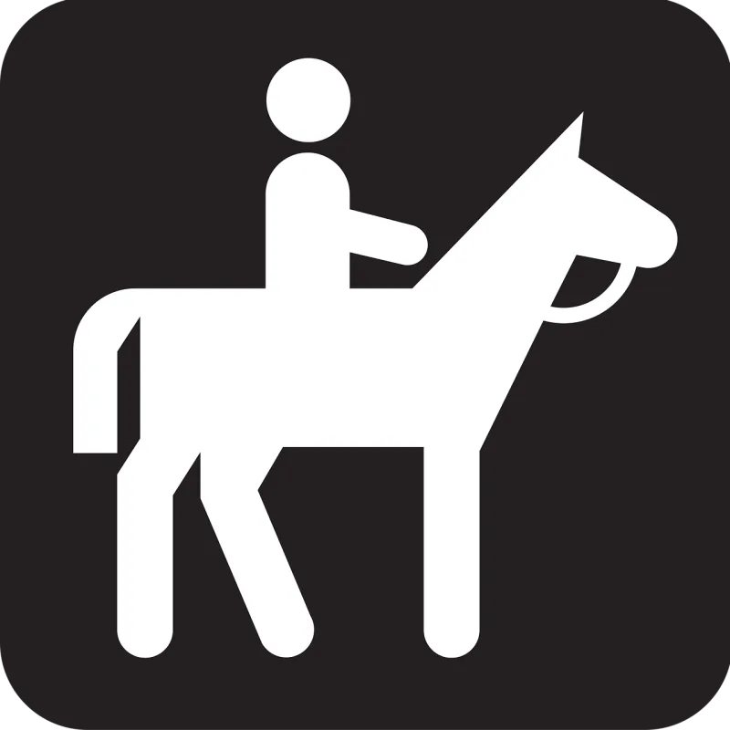 Riding Horse Pony Stickdatei – Tiere