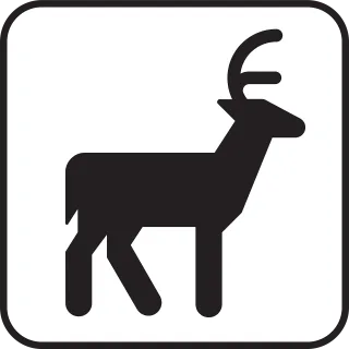 Deer Wildlife Nature Stickdatei