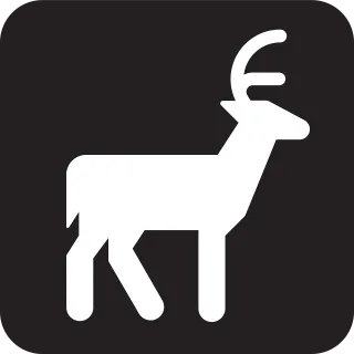 Deer Wildlife Nature Stickdatei