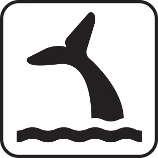 Whale Cetacean Wildlife Stickdatei – Natur