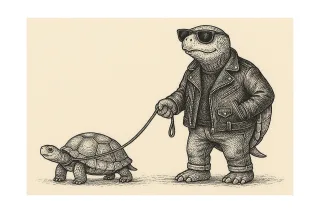 Turtle Tortoise Animal Stickdatei