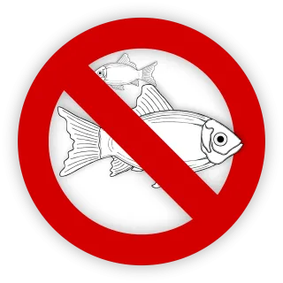 Fish Allergy Nature Stickdatei