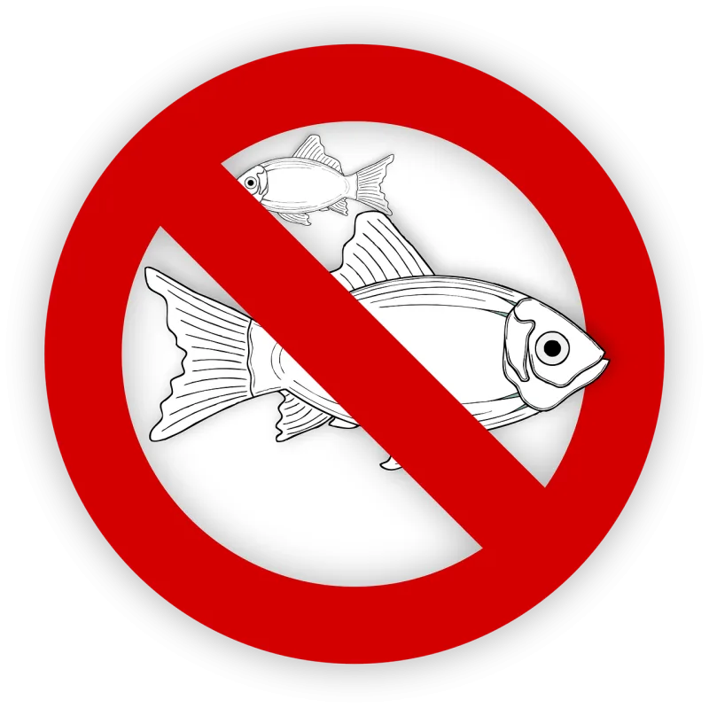 Fish Allergy Nature Stickdatei – Tiere