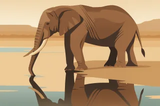 Elephant illustration Wildlife art Safari animal Stickdatei – Tiere